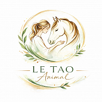 Une connexion entre la praticienne shiatsu et le cheval qui se sent en confiance et apais&eacute; suite &agrave; la s&eacute;ance bas&eacute;e sur la m&eacute;decine chinoise