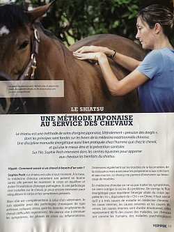 Article Hippik magazine