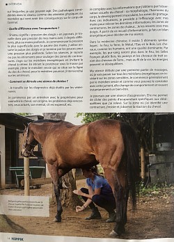 Article Hippik magazine