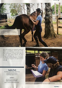 Article Hippik magazine
