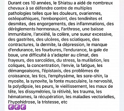 Facebook LE TAO Animal