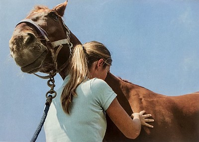 Pression des doigts, soigner par le toucher, avec ses mains, naturel, acupression, santé chevaux