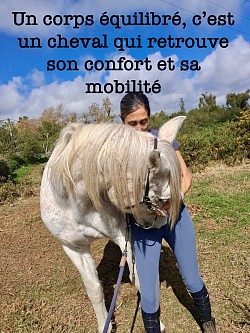Équilibrer